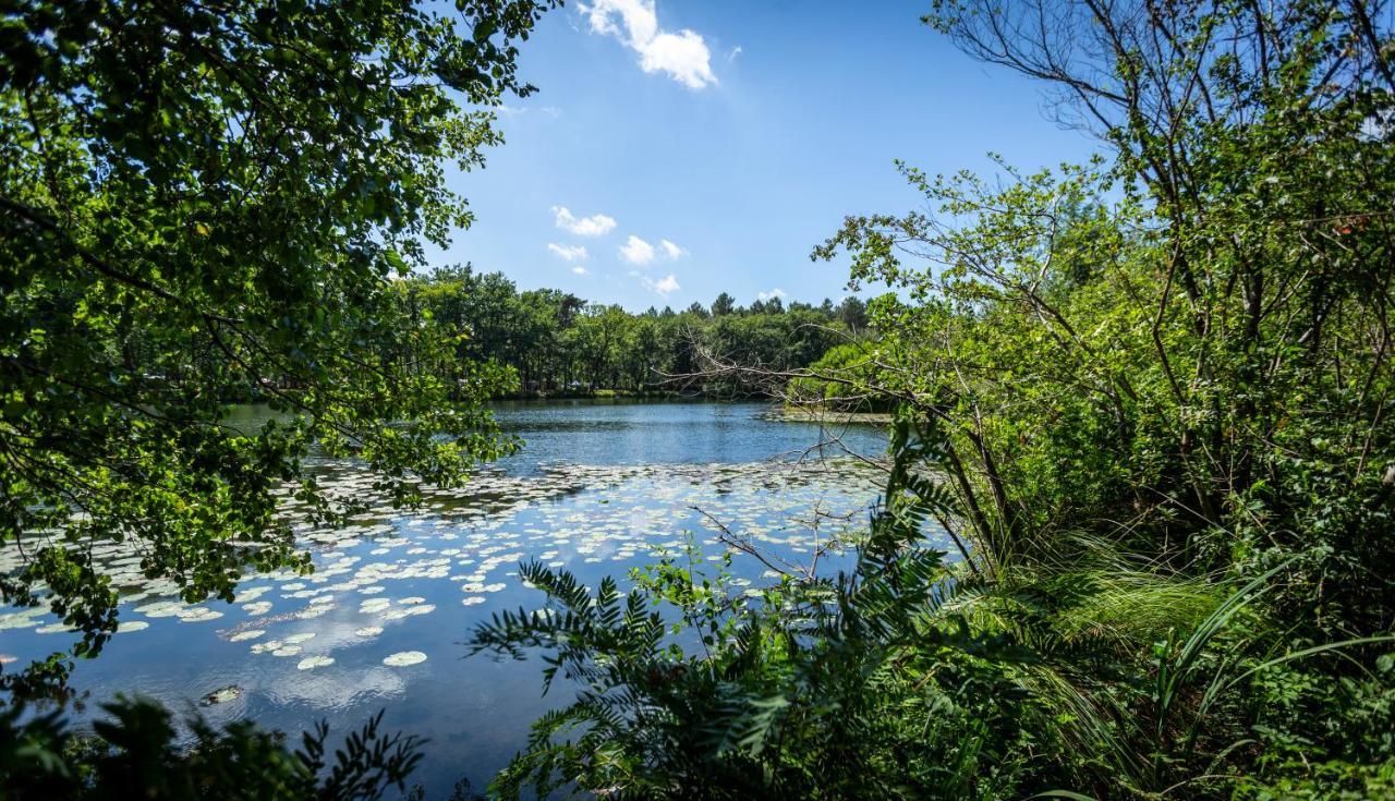 Camping L'Etang D'Ardy *** Saint-Paul-les-Dax Exterior photo